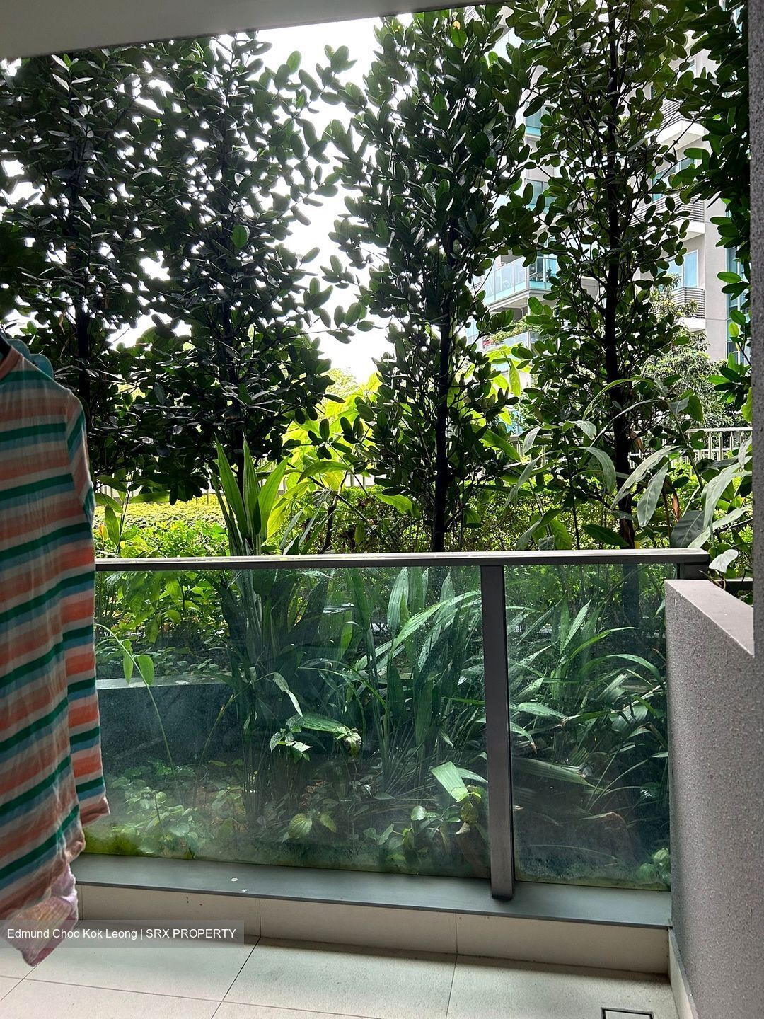 Stars Of Kovan (D19), Apartment #433625401